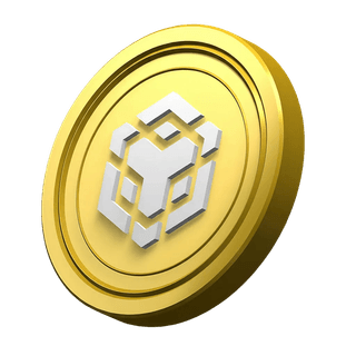 BNB-munt ter illustratie in het informatieonderdeel van het platform